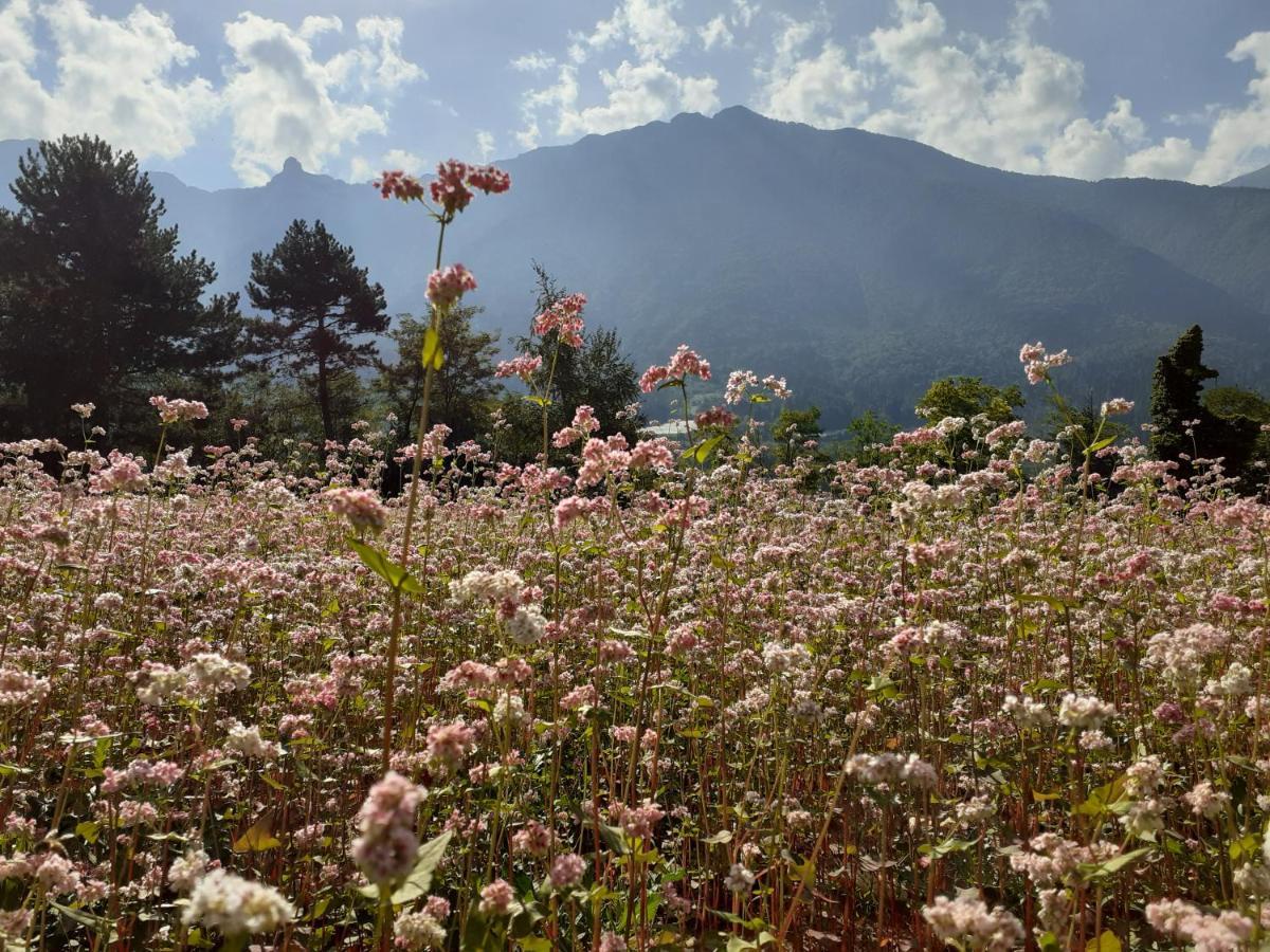 Coste Del Gaggio - Country House B&B - Garda Trentino Drena Luaran gambar