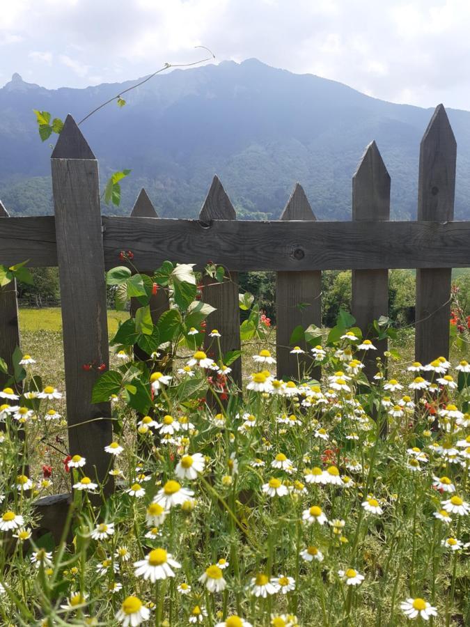 Coste Del Gaggio - Country House B&B - Garda Trentino Drena Luaran gambar