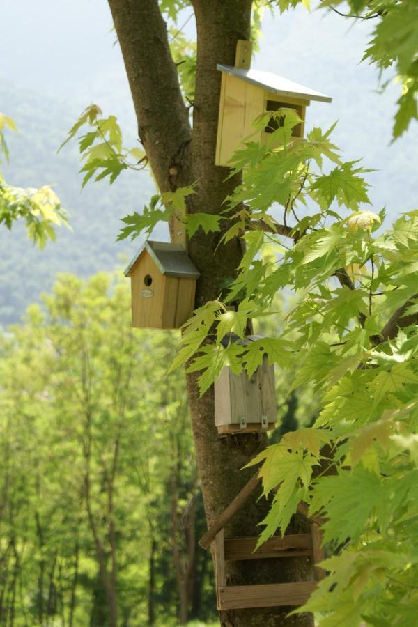 Coste Del Gaggio - Country House B&B - Garda Trentino Drena Luaran gambar