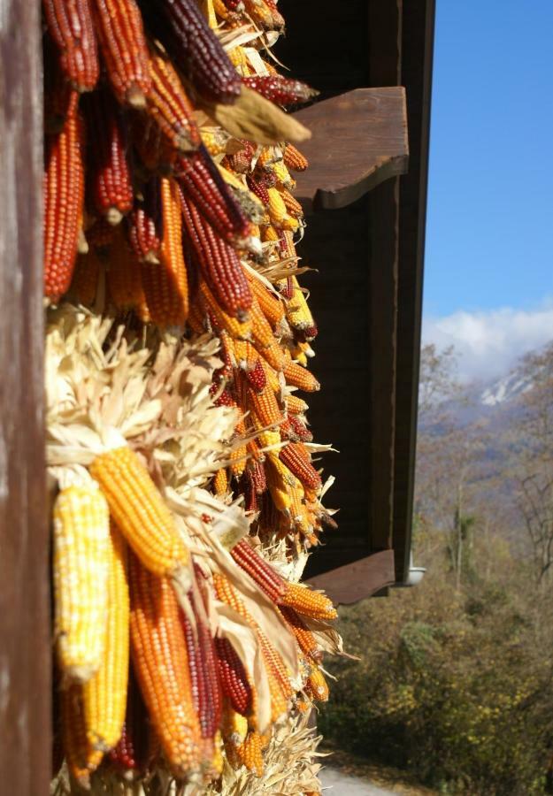 Coste Del Gaggio - Country House B&B - Garda Trentino Drena Luaran gambar